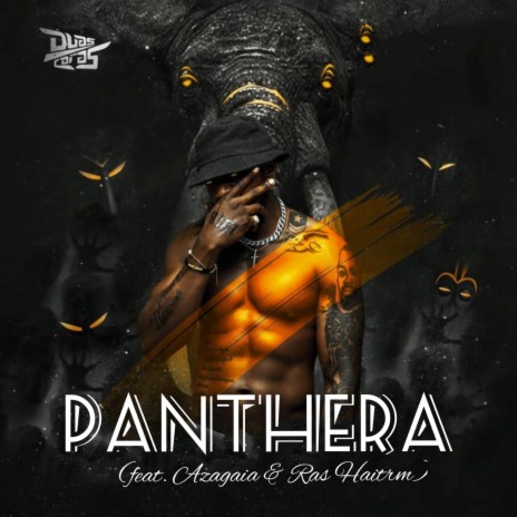 Panthera ft. Azagaia & Ras Haitrm | Boomplay Music