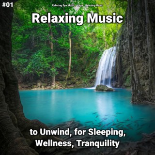 #01 Relaxing Music to Unwind, for Sleeping, Wellness, Tranquility