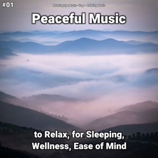 #01 Peaceful Music to Relax, for Sleeping, Wellness, Ease of Mind