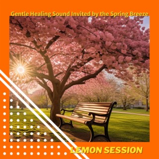 Gentle Healing Sound Invited by the Spring Breeze