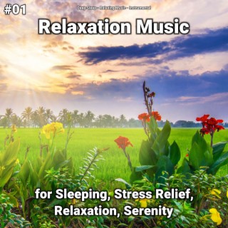 #01 Relaxation Music for Sleeping, Stress Relief, Relaxation, Serenity