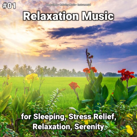 Wonderful Ambient Sounds ft. Deep Sleep & Instrumental | Boomplay Music