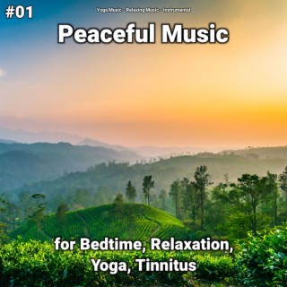 #01 Peaceful Music for Bedtime, Relaxation, Yoga, Tinnitus