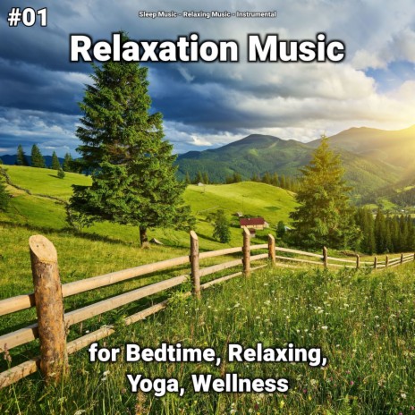 Nice Relaxing Music ft. Relaxing Music & Sleep Music | Boomplay Music