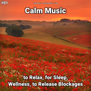 #01 Calm Music to Relax, for Sleep, Wellness, to Release Blockages