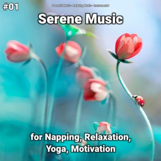 #01 Serene Music for Napping, Relaxation, Yoga, Motivation