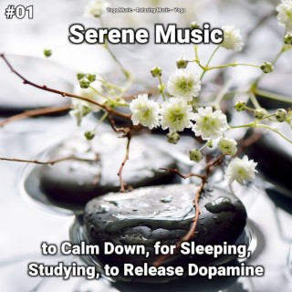 #01 Serene Music to Calm Down, for Sleeping, Studying, to Release Dopamine