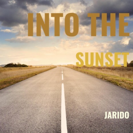 Into The Sunset | Boomplay Music