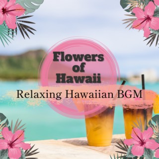 Relaxing Hawaiian BGM