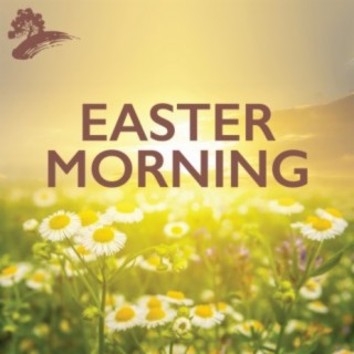 Easter Morning