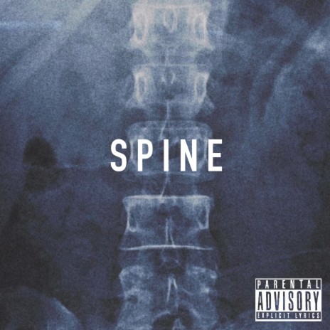 Spine | Boomplay Music