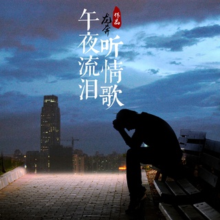 午夜流泪听情歌 (DJ加快版) lyrics | Boomplay Music