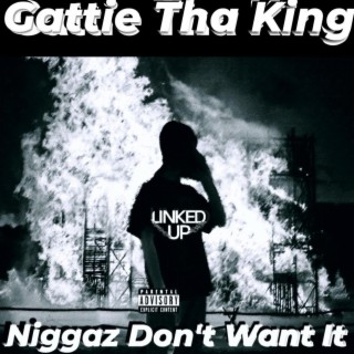 Niggaz Don't Want It (Biggie Version)