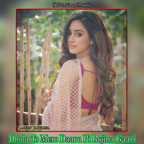 Dhola To Mero Daaru Pi Rojina Gaari | Boomplay Music