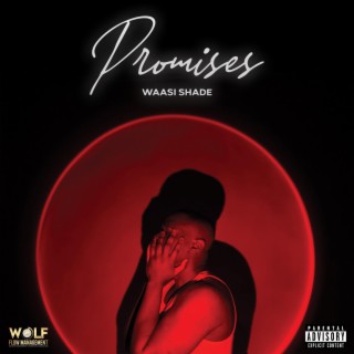 Promises lyrics | Boomplay Music