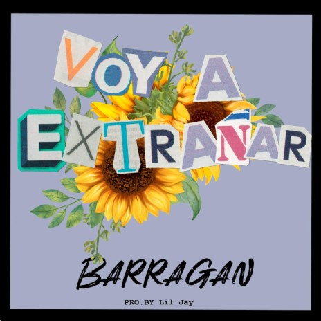 Voy A Extrañar | Boomplay Music