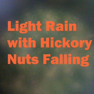 Light Rain with Hickory Nuts Falling
