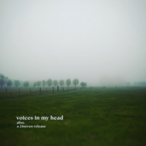 voices in my head