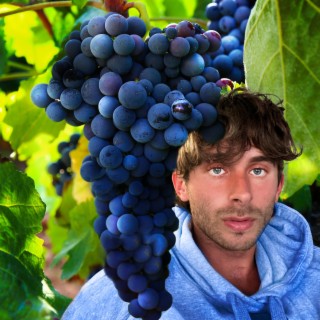 1000 GRAPES