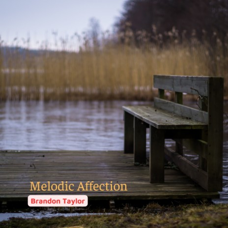 Melodic Affection | Boomplay Music