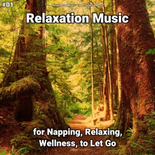 #01 Relaxation Music for Napping, Relaxing, Wellness, to Let Go