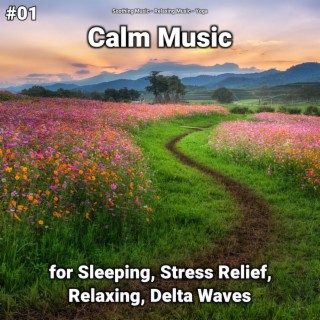 #01 Calm Music for Sleeping, Stress Relief, Relaxing, Delta Waves