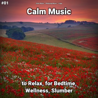 #01 Calm Music to Relax, for Bedtime, Wellness, Slumber