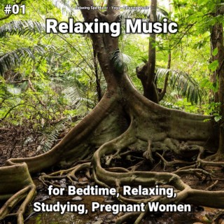 #01 Relaxing Music for Bedtime, Relaxing, Studying, Pregnant Women