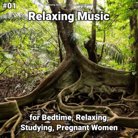 Calm Stress Relief ft. Relaxing Music & Relaxing Spa Music | Boomplay Music