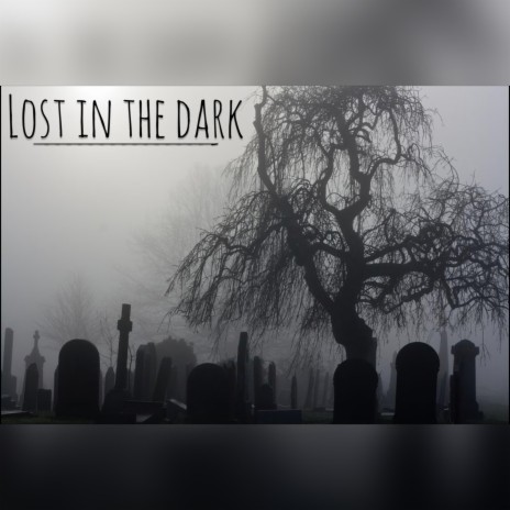 Lost In The Dark (Slowed & Reverb) (Slowed)