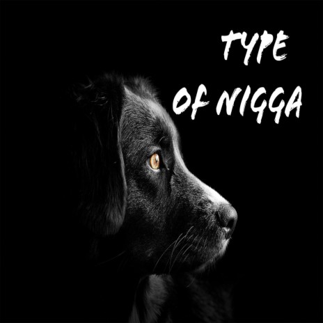 TYPE OF NIGGA | Boomplay Music