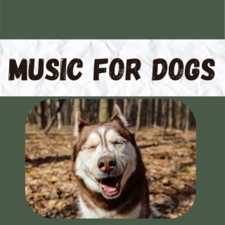 Music For Dogs (Vol.37)