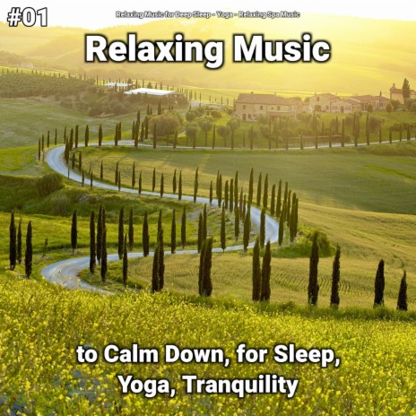 Relaxing Music for Mindfulness ft. Relaxing Music for Deep Sleep & Relaxing Spa Music