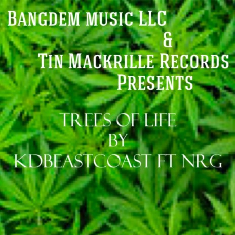 Trees of Life ft. Nrg | Boomplay Music