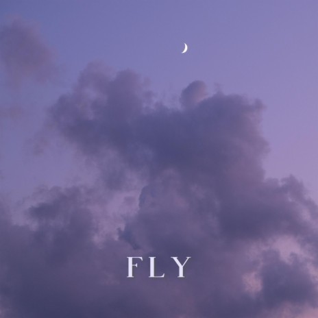 Fly | Boomplay Music