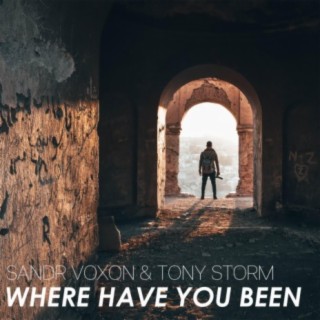 Where Have You Been (feat. Tony Storm)