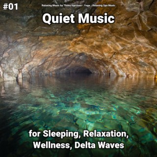 #01 Quiet Music for Sleeping, Relaxation, Wellness, Delta Waves