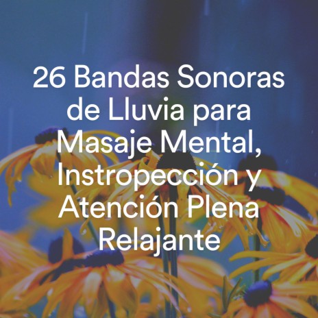 Melodías de meditación de lluvia suave, Pt. 3 ft. Sonidos De Agua & Sonido De Lluvia | Boomplay Music