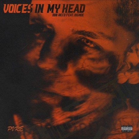 Voices In My Head ft. Big Moe | Boomplay Music