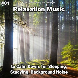 #01 Relaxation Music to Calm Down, for Sleeping, Studying, Background Noise