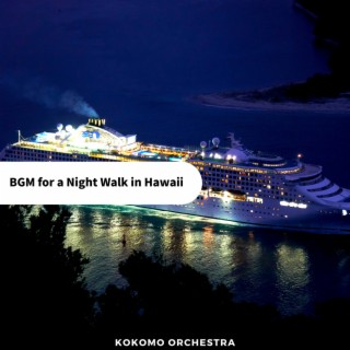 BGM for a Night Walk in Hawaii