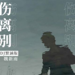 伤离别 (DJ默涵版伴奏) lyrics | Boomplay Music