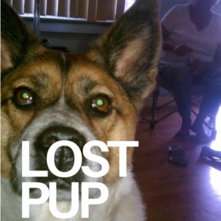 LOST PUP lyrics | Boomplay Music