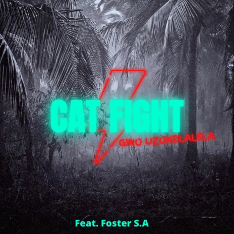 Cat Fight ft. Foster S.A | Boomplay Music