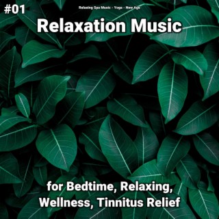 #01 Relaxation Music for Bedtime, Relaxing, Wellness, Tinnitus Relief