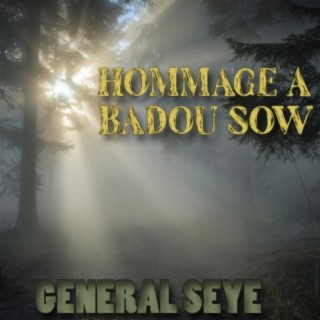 Hommage à Badou Sow