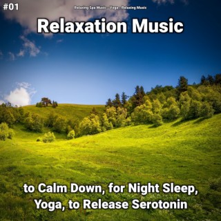 #01 Relaxation Music to Calm Down, for Night Sleep, Yoga, to Release Serotonin