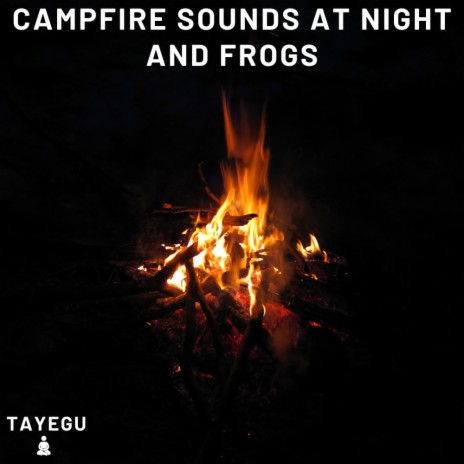 Campfire Sounds at Night and Frogs Forest Camping 1 Hour Relaxing Nature Ambience Yoga Meditation Sounds For Sleeping Relaxation or Studying