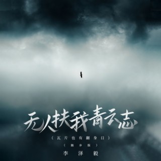 无人扶我青云志(瓦片也有翻身日) (跑步版) lyrics | Boomplay Music