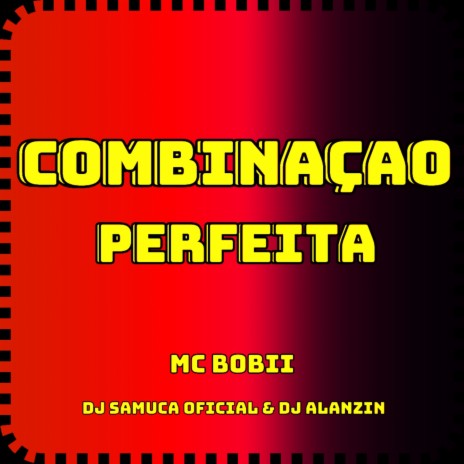 COMBINAÇAO PERFEITA | Boomplay Music